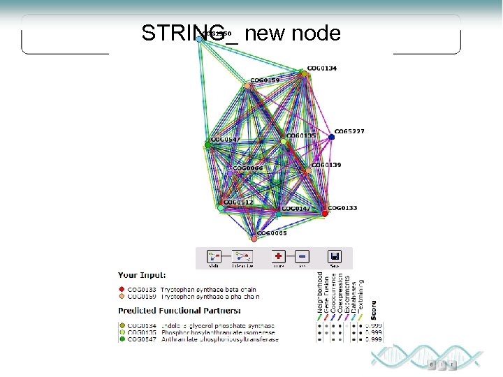 STRING_ new node 