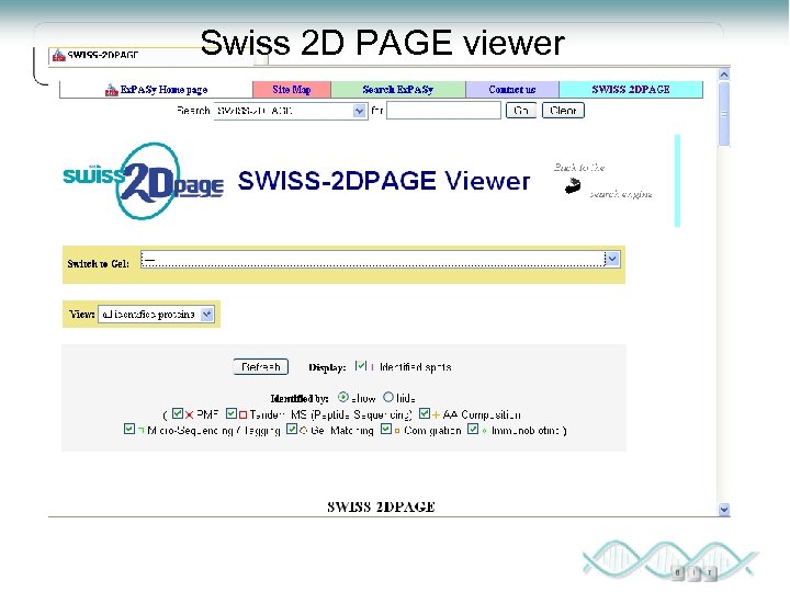 Swiss 2 D PAGE viewer 