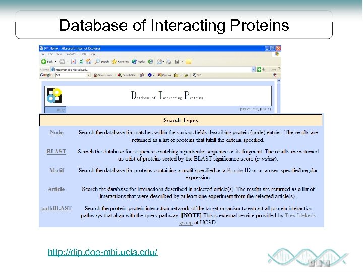 Database of Interacting Proteins The DIP database catalogs experimentally determined interactions between proteins. It