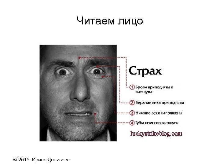 Читаем лицо 2015. Ирина Денисова 