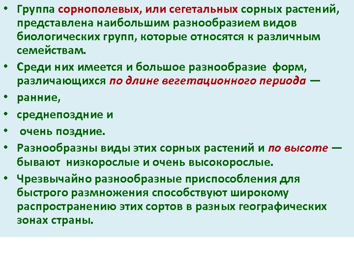  • Группа сорнополевых, или сегетальных сорных растений, представлена наибольшим разнообразием видов биологических групп,