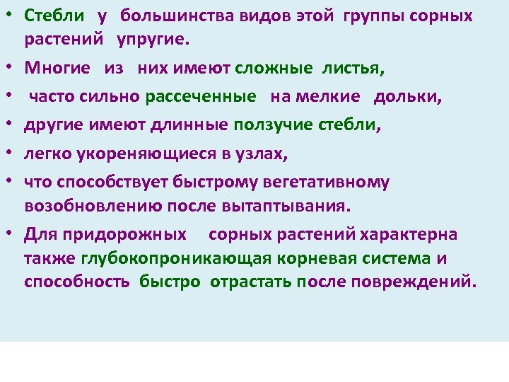  • Стебли у большинства видов этой группы сорных растений упругие. • Многие из