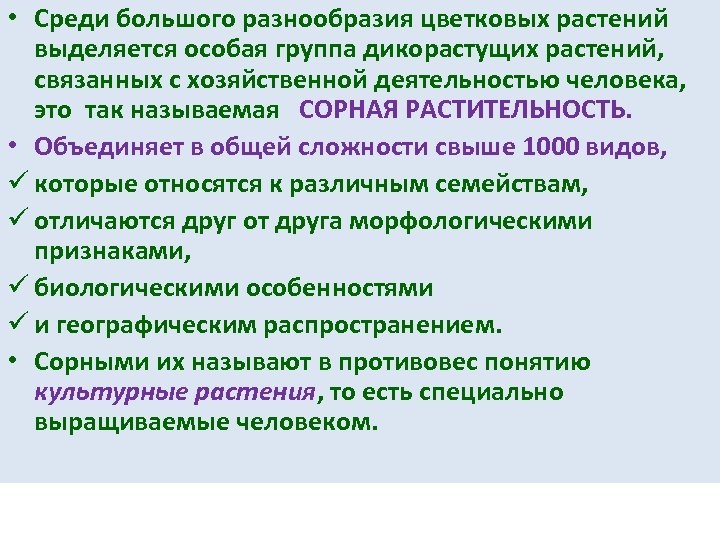  • Среди большого разнообразия цветковых растений выделяется особая группа дикорастущих растений, связанных с