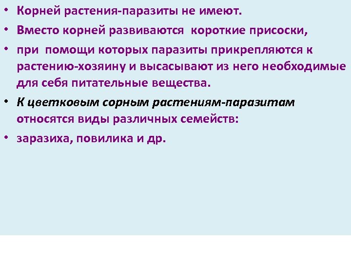  • Корней растения паразиты не имеют. • Вместо корней развиваются короткие присоски, •