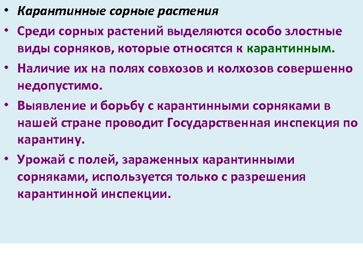  • Карантинные сорные растения • Среди сорных растений выделяются особо злостные виды сорняков,