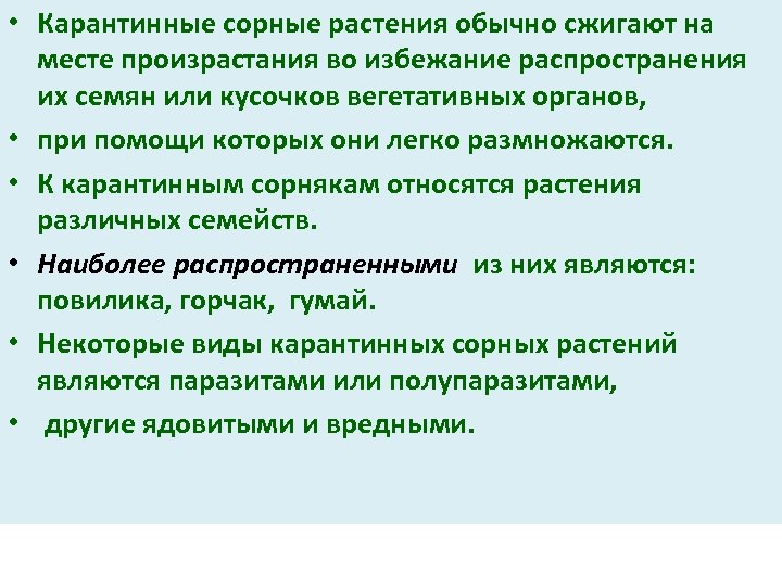  • Карантинные сорные растения обычно сжигают на месте произрастания во избежание распространения их