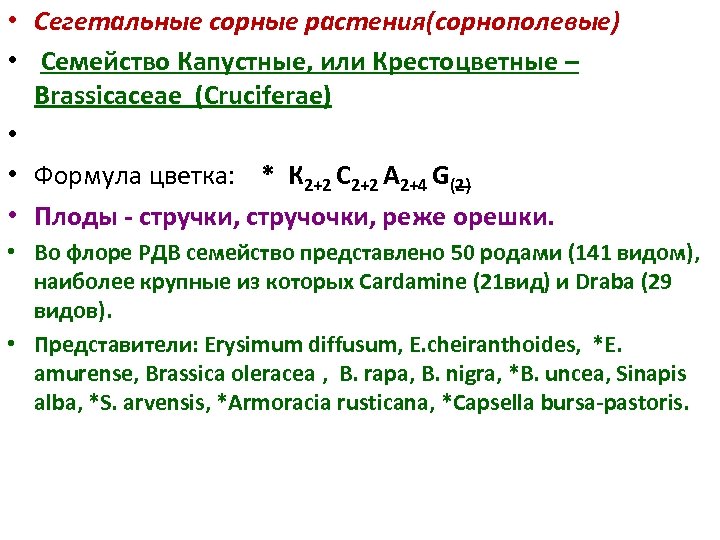  • Сегетальные сорные растения(сорнополевые) • Семейство Капустные, или Крестоцветные – Brassicaceae (Cruciferae) •