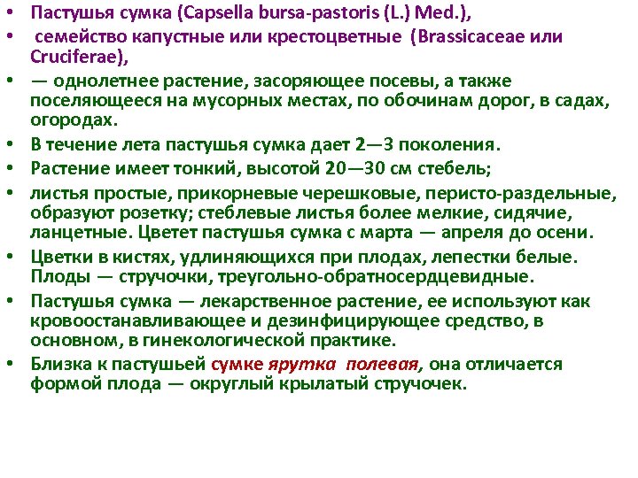  • Пастушья сумка (Capsella bursa pastoris (L. ) Med. ), • семейство капустные