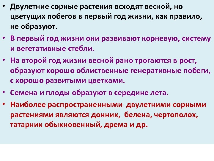  • Двулетние сорные растения всходят весной, но цветущих побегов в первый год жизни,