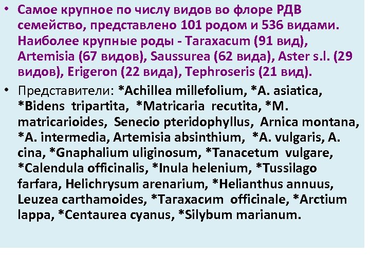  • Самое крупное по числу видов во флоре РДВ семейство, представлено 101 родом