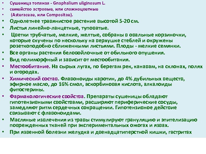  • • • Сушеница топяная Gnaphalium uliginosum L. семейство астровые, или сложноцветные (Asteraceae,