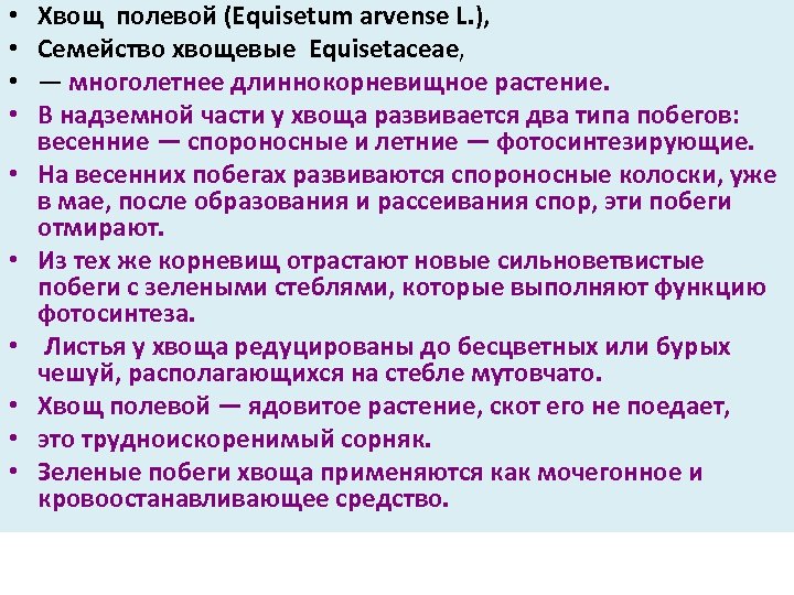  • • • Хвощ полевой (Equisetum arvense L. ), Семейство хвощевые Equisetaceae, —