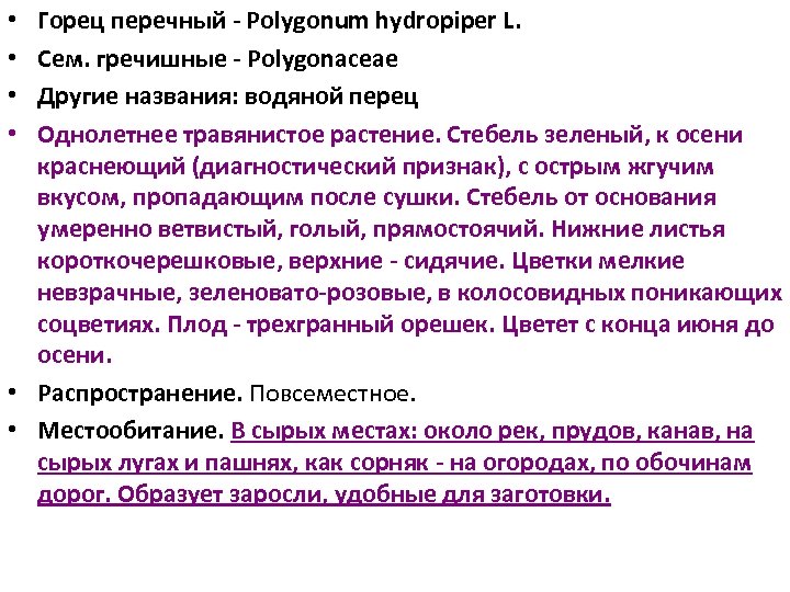 Горец перечный Polygonum hydropiper L. Сем. гречишные Polygonaceae Другие названия: водяной перец Однолетнее травянистое
