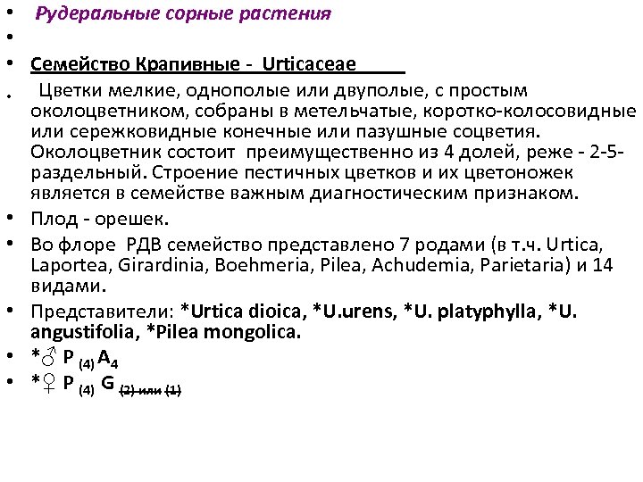  • Рудеральные сорные растения • • Семейство Крапивные Urticaceae • Цветки мелкие, однополые