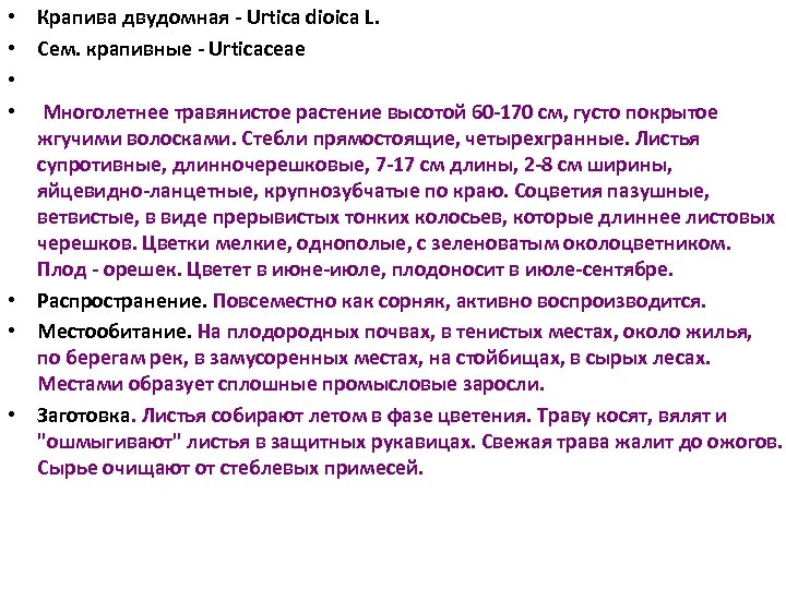 Крапива двудомная Urtica dioica L. Сем. крапивные Urticaceae Многолетнее травянистое растение высотой 60 170