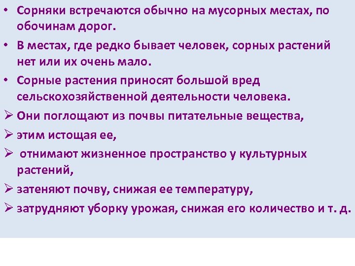  • Сорняки встречаются обычно на мусорных местах, по обочинам дорог. • В местах,