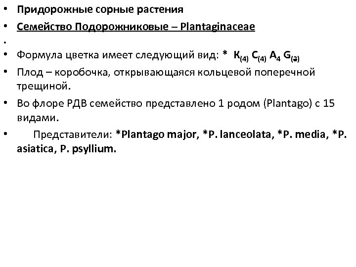  • Придорожные сорные растения • Семейство Подорожниковые – Plantaginaceae • • Формула цветка