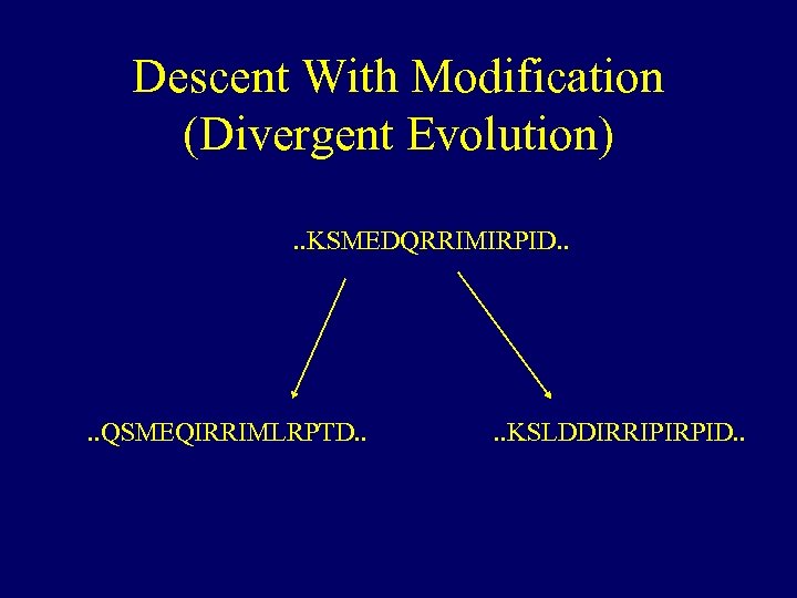 Descent With Modification (Divergent Evolution). . KSMEDQRRIMIRPID. . QSMEQIRRIMLRPTD. . KSLDDIRRIPIRPID. . 