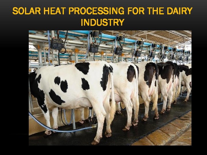 SOLAR HEAT PROCESSING FOR THE DAIRY INDUSTRY 