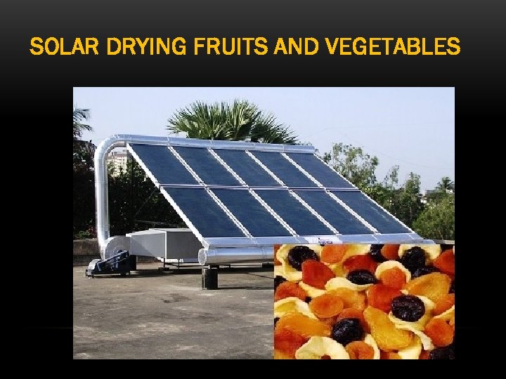 SOLAR DRYING FRUITS AND VEGETABLES 