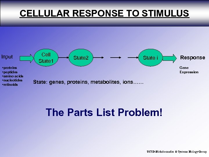 CELLULAR RESPONSE TO STIMULUS Input • proteins • peptides • amino acids • nucleotides