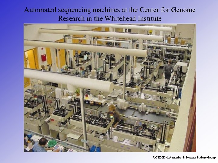 Automated sequencing machines at the Center for Genome Research in the Whitehead Institute UCSD-Bioinformatics