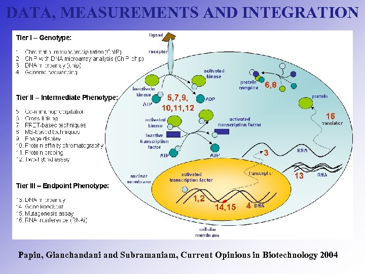 DATA, MEASUREMENTS AND INTEGRATION Papin, Gianchandani and Subramaniam, Current Opinions in Biotechnology 2004 