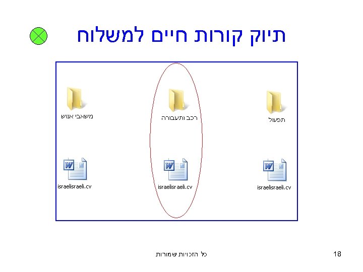  תיוק קורות חיים למשלוח 81 כל הזכויות שמורות 