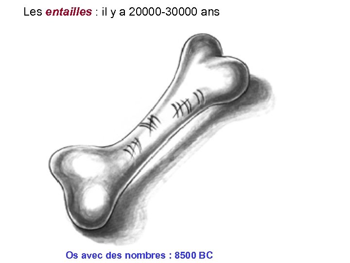 Les entailles : il y a 20000 -30000 ans Os avec des nombres :