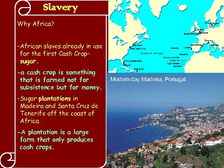 Slavery Why Africa? -African slaves already in use for the first Cash Cropsugar. -a