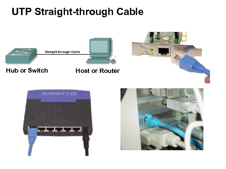 UTP Straight-through Cable Hub or Switch Host or Router 
