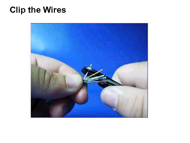 Clip the Wires 
