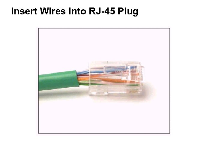 Insert Wires into RJ-45 Plug 