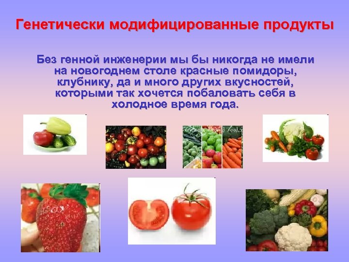 Генетически модифицированные продукты Без генной инженерии мы бы никогда не имели на новогоднем столе
