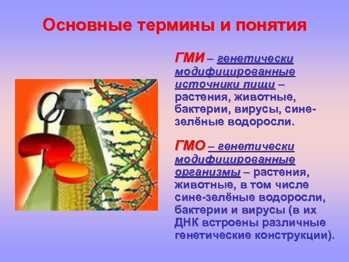 Основные термины и понятия ГМИ – генетически модифицированные источники пищи – растения, животные, бактерии,