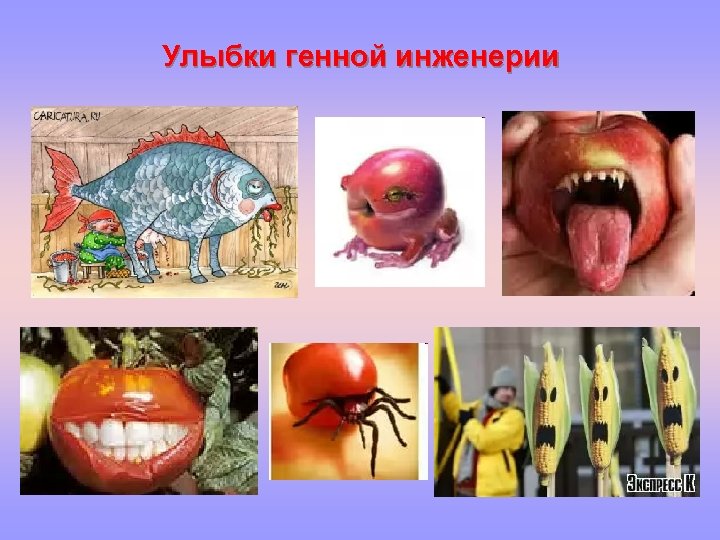 Улыбки генной инженерии 