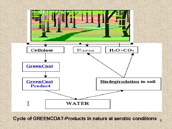 Cycle of GREENCOAT-Products in nature at aerobic conditions 6 