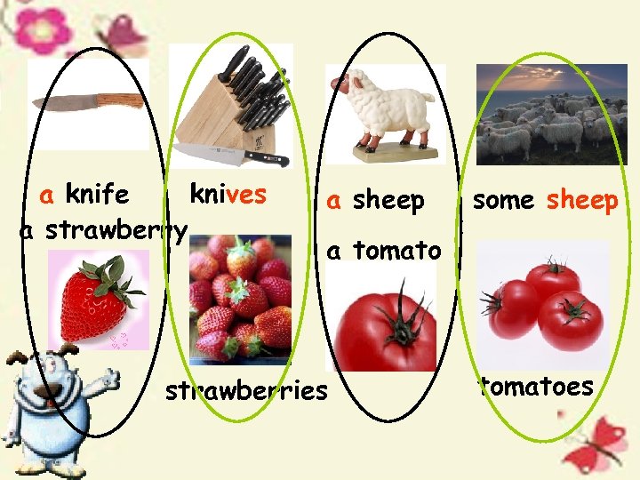 knives a knife a strawberry a sheep some sheep a tomato strawberries tomatoes 