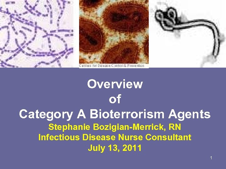 Overview of Category A Bioterrorism Agents Stephanie Bozigian-Merrick, RN Infectious Disease Nurse Consultant July