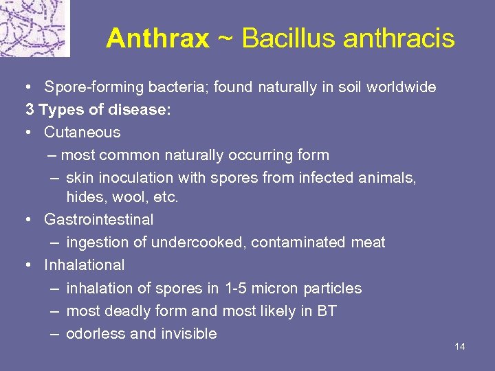 Anthrax ~ Bacillus anthracis • Spore-forming bacteria; found naturally in soil worldwide 3 Types