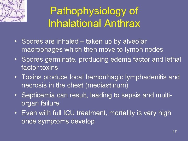 Pathophysiology of Inhalational Anthrax • Spores are inhaled – taken up by alveolar macrophages