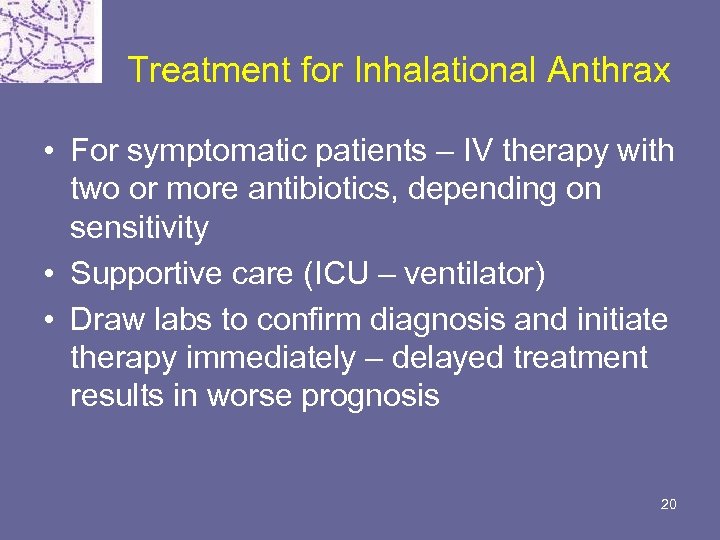 Treatment for Inhalational Anthrax • For symptomatic patients – IV therapy with two or