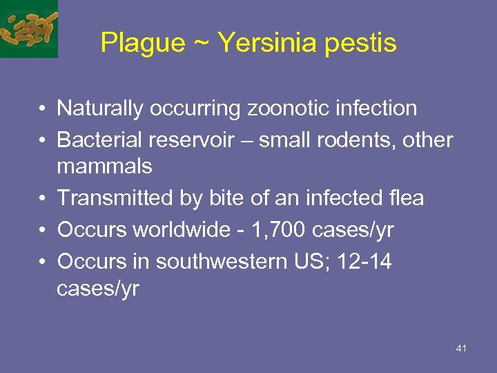 Plague ~ Yersinia pestis • Naturally occurring zoonotic infection • Bacterial reservoir – small