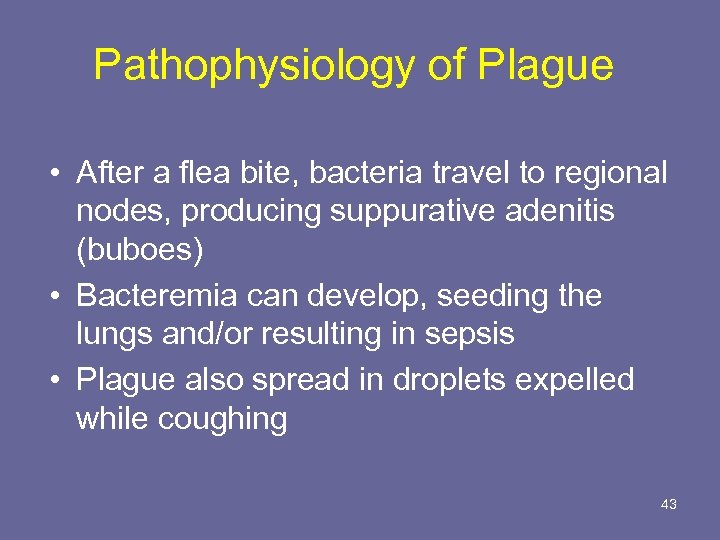 Pathophysiology of Plague • After a flea bite, bacteria travel to regional nodes, producing