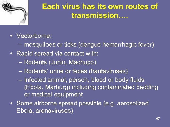 Each virus has its own routes of transmission…. • Vectorborne: – mosquitoes or ticks