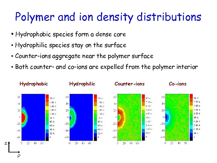 Polymer and ion density distributions • Hydrophobic species form a dense core • Hydrophilic