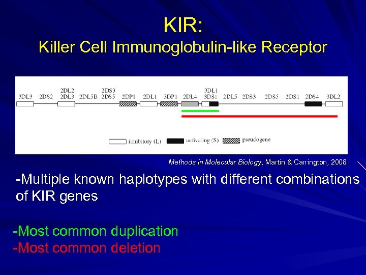 KIR: Killer Cell Immunoglobulin-like Receptor Methods in Molecular Biology, Martin & Carrington, 2008 -Multiple