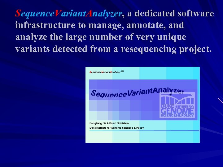 Sequence. Variant. Analyzer, a dedicated software infrastructure to manage, annotate, and analyze the large