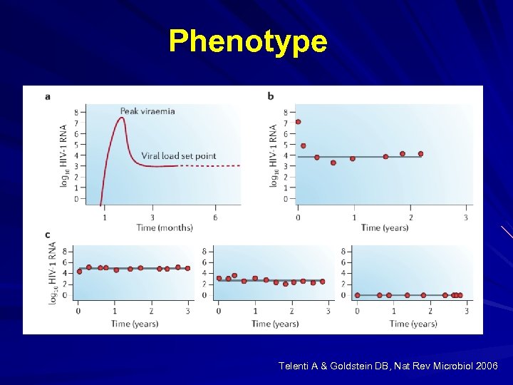 Phenotype Telenti A & Goldstein DB, Nat Rev Microbiol 2006 