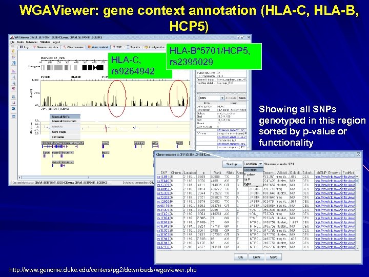 WGAViewer: gene context annotation (HLA-C, HLA-B, HCP 5) HLA-C, rs 9264942 HLA-B*5701/HCP 5, rs